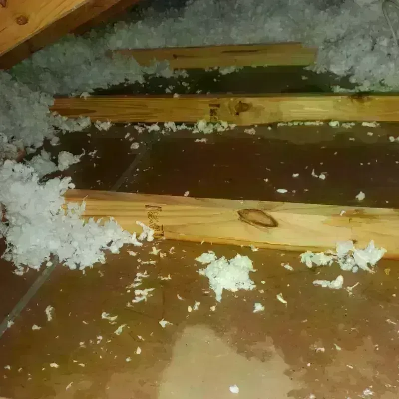 Attic Water Damage in Kirksville, MO